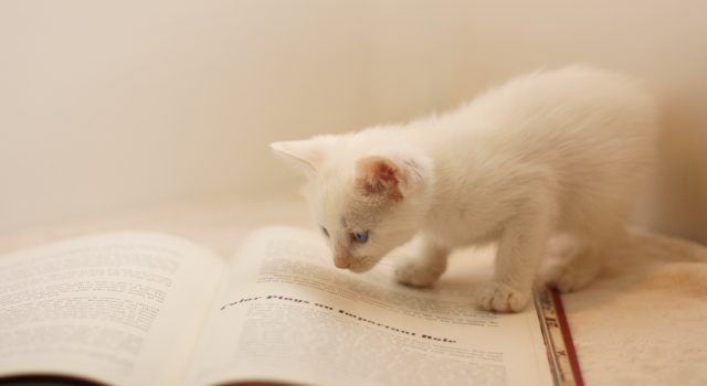 460986a8e08b0afcaa59a74b149215e7_s