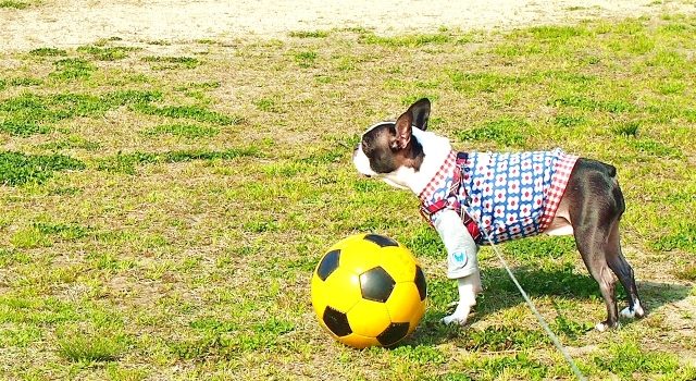 f4b645a8db71bb489581480c075a6a85_s