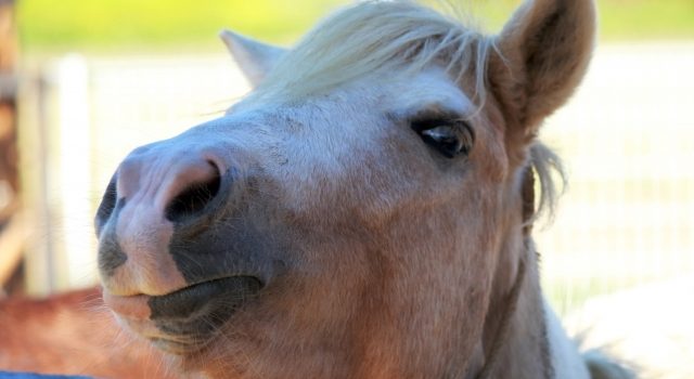 84d0f8722f57952cd0cb39518f567b22_s