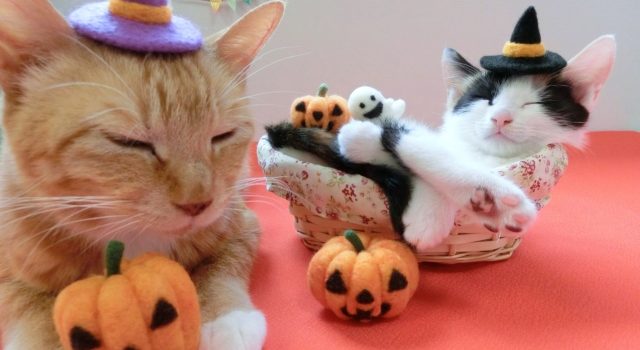 cef0ee6e04396d164e502f13dc07180d_s