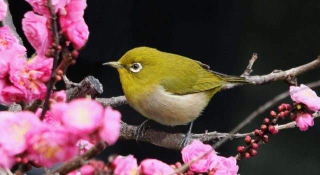 8cc7b46d368fa9f35132e2a9817896a1_s