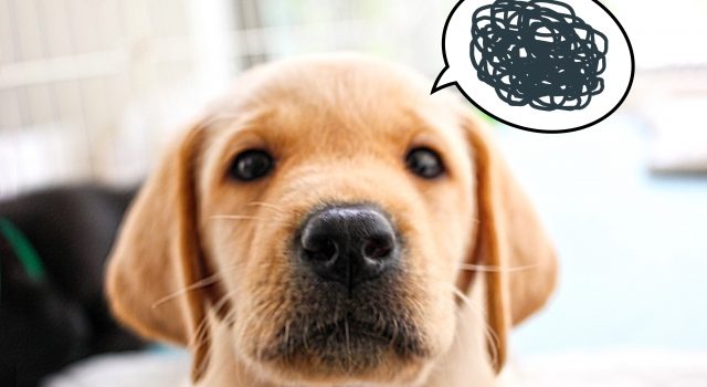 a576e588c6b276d6acd4290084f79e53_s