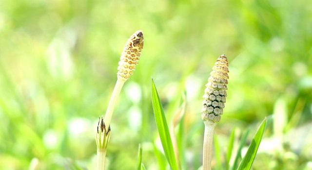 836228a836f003bfcc7680d6fd8e3282_s