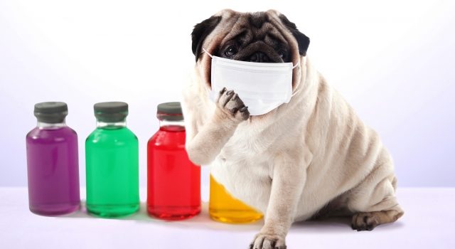 896a6f9874053c6b8952428eb6759517_s