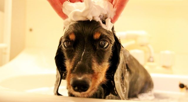 bdda3d7c895cc7e75e0d1a516f8c723f_s