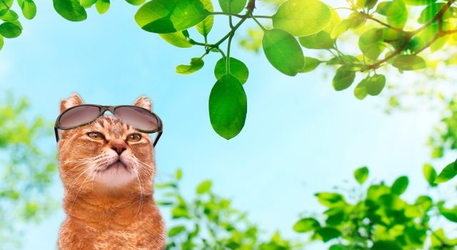 503894fa0dc0078930b9f0b695b48b0a_s