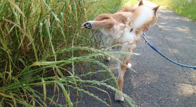 6b4aa0fdb2fde7d54bf39f59321b00a4_s