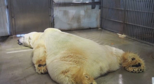 9104a256e5870289691e7e1f9eb1616d_s