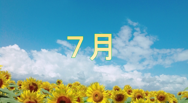 ７月　向日葵
