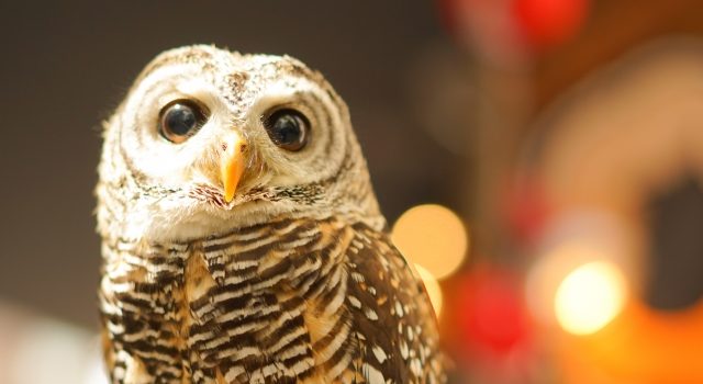 46e09463d04db2175c658b60b7b1874f_s