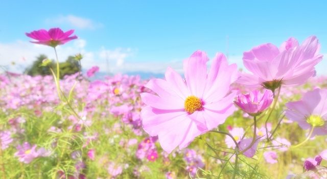 385a1811e0802c370d4b2106ce579c46_s