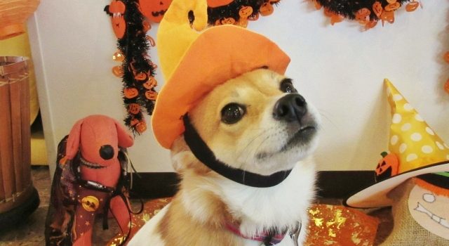 66bc06fcef9b09f43dd644e1574d02aa_s