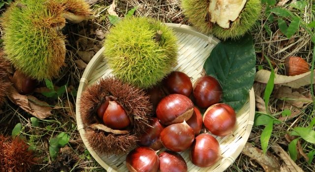 cb336c0ce105d9f49214e62294f97fc7_s