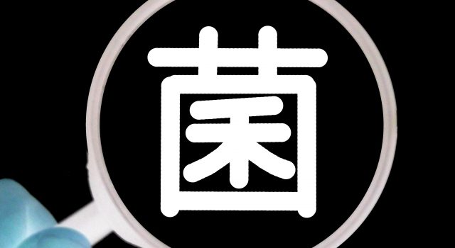 e0908e9c92b08e99cd1f0beafb150e90_s