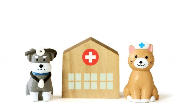 45f3b94bc37eb67414d1f95ea9dc1720_s